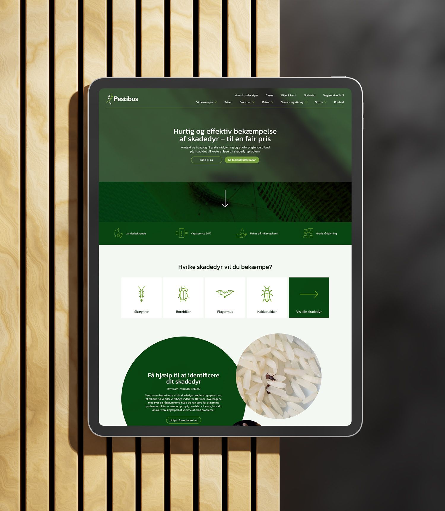 Billedet viser websitet for Pestibus